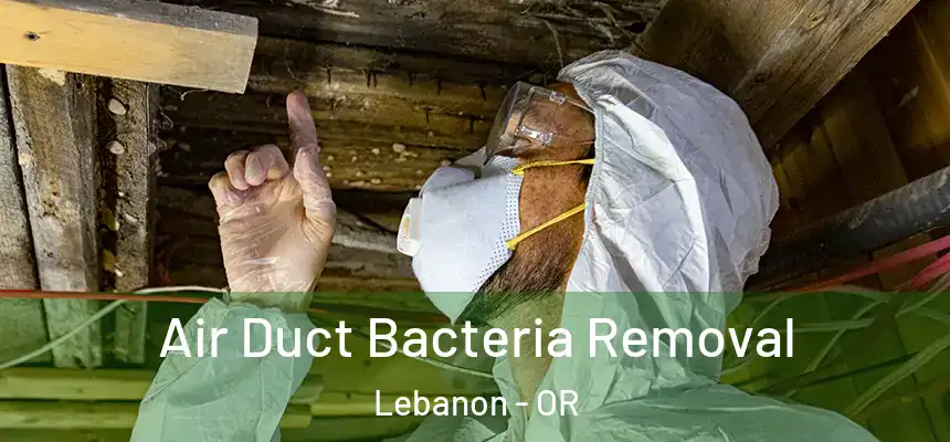  Air Duct Bacteria Removal Lebanon - OR