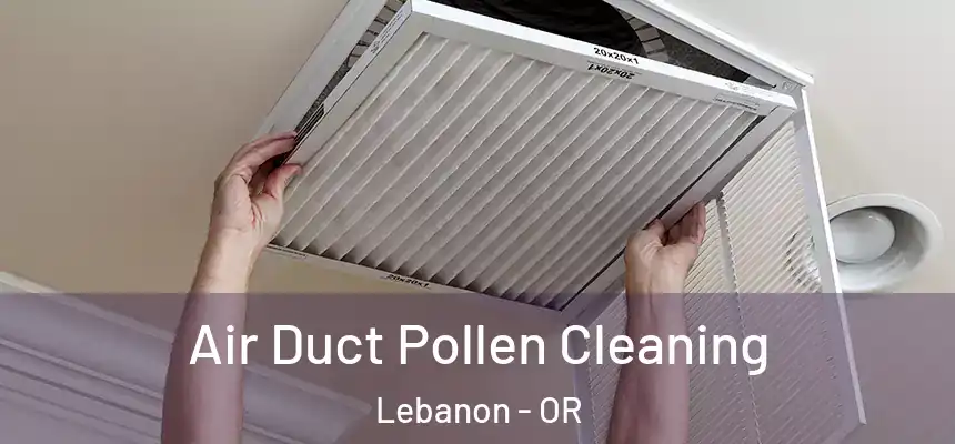  Air Duct Pollen Cleaning Lebanon - OR