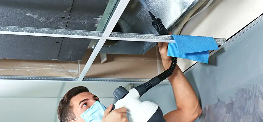 Our Air Duct Rodent Removal Services in Lebanon, OR