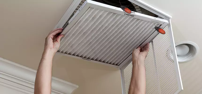 Our Insect Removal from Air Ducts Services in Lebanon, OR