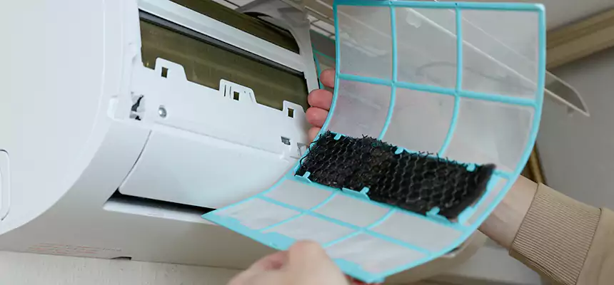 Gentle Ductwork Odor-Control Pet Dander Duct Cleaning in Lebanon, OR