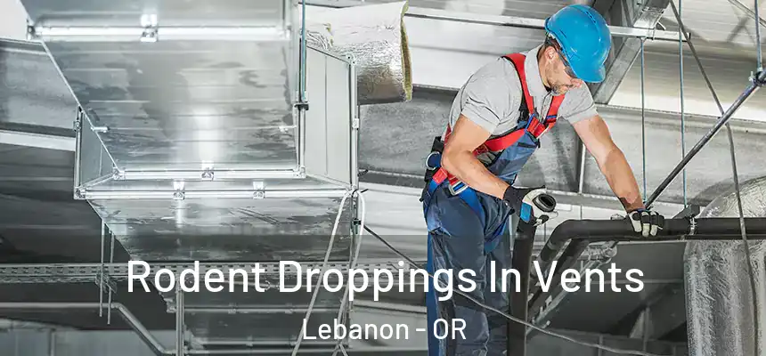  Rodent Droppings In Vents Lebanon - OR