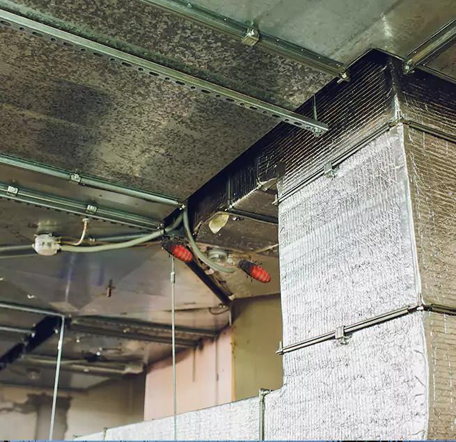 Why Homeowners & Businesses Trust Us in Lebanon, OR?