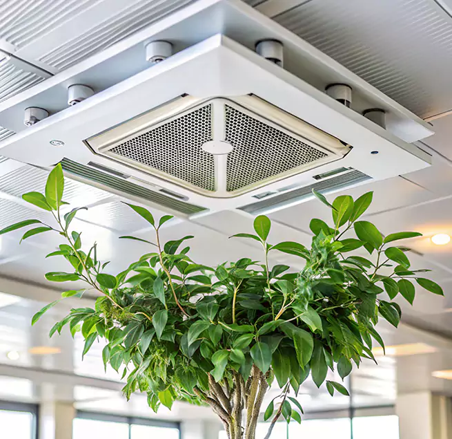 Why Homeowners & Businesses Trust Us in Lebanon, OR?